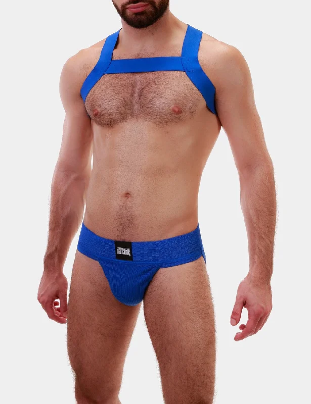 Barcode Berlin Matt harness blue