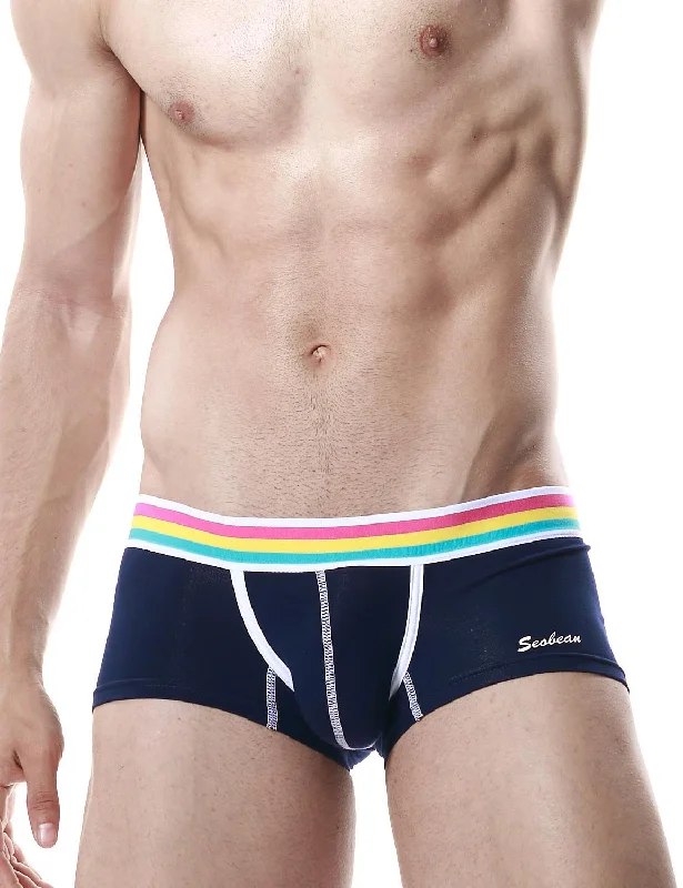 Low Rise Sexy Boxer Brief Rainbow 60206